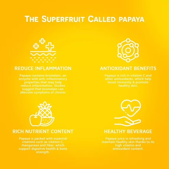 VINUT 100% Papaya Juice, No Added Sugar, Not From Concentrate, 16.9 fl oz (500 mL) Can, Pack of 12