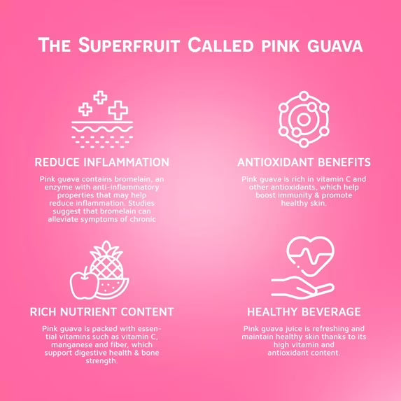 VINUT 100% Pink Guava Juice, No Added Sugar, Not From Concentrate, 16.9 fl oz (500 mL) Can, Pack of 12