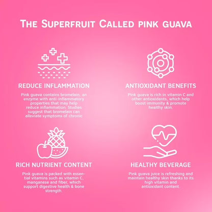 VINUT 100% Pink Guava Juice, No Added Sugar, Not From Concentrate, 16.9 fl oz (500 mL) Can, Pack of 12