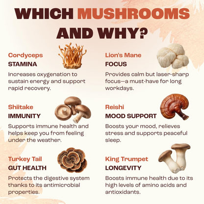 RYZE SUPERFOODS Mushroom Medium Roast Coffee USDA Organic with 6 Adaptogenic Mushrooms, USA Grown Instant Coffee for Better Energy, Focus Digestion Immunity with Lions Mane & Turkey Tail 30 Servings