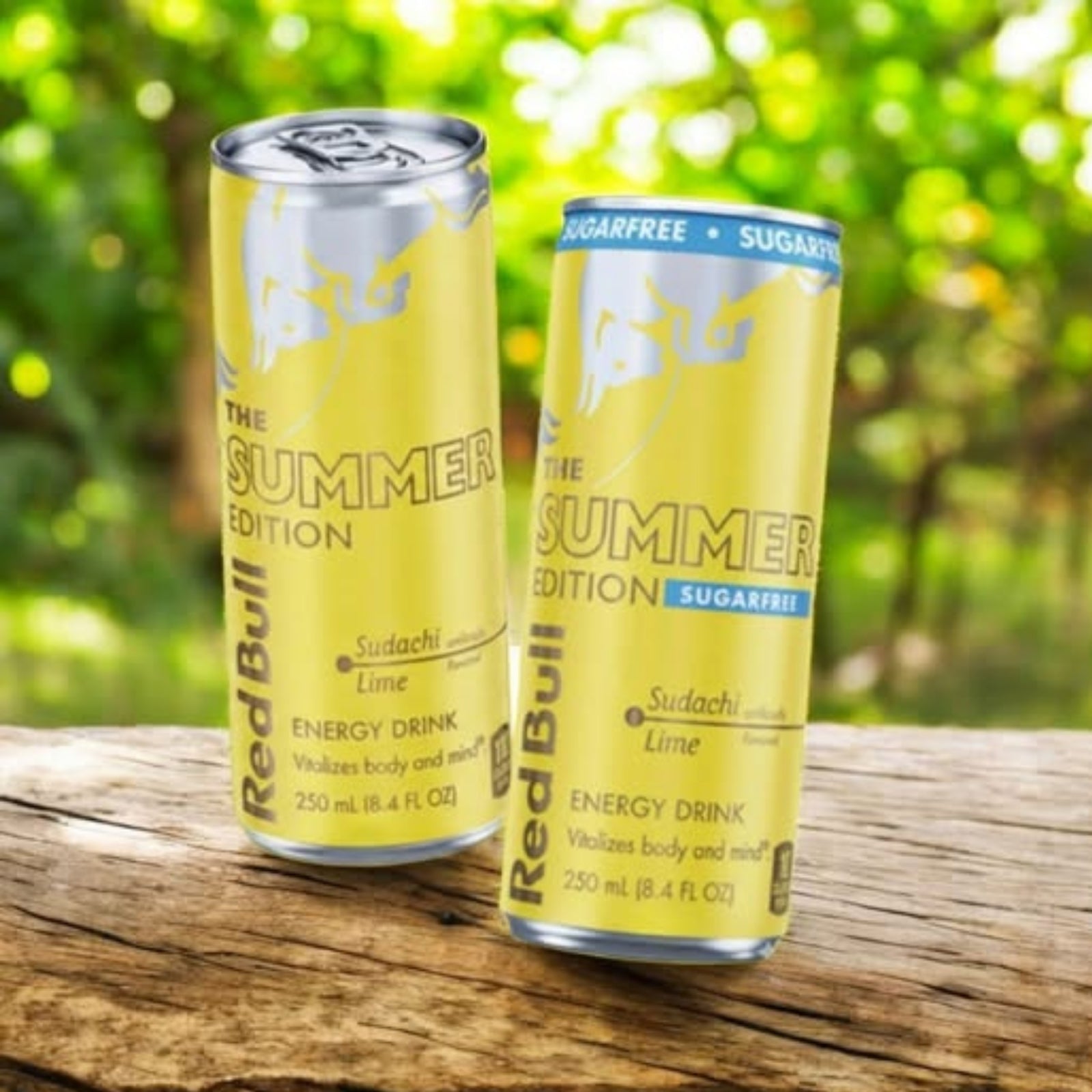 Red Bull Summer Edition 2026 Sudachi Lime SUGAR FREE 24 Pack 12 oz Cans