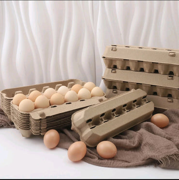25 Pack 12-Count Pulp Paper Egg Cartons – Recyclable Egg Storage Trays