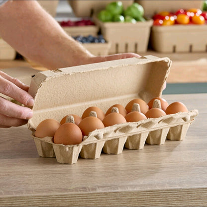 25 Pack 12-Count Pulp Paper Egg Cartons – Recyclable Egg Storage Trays