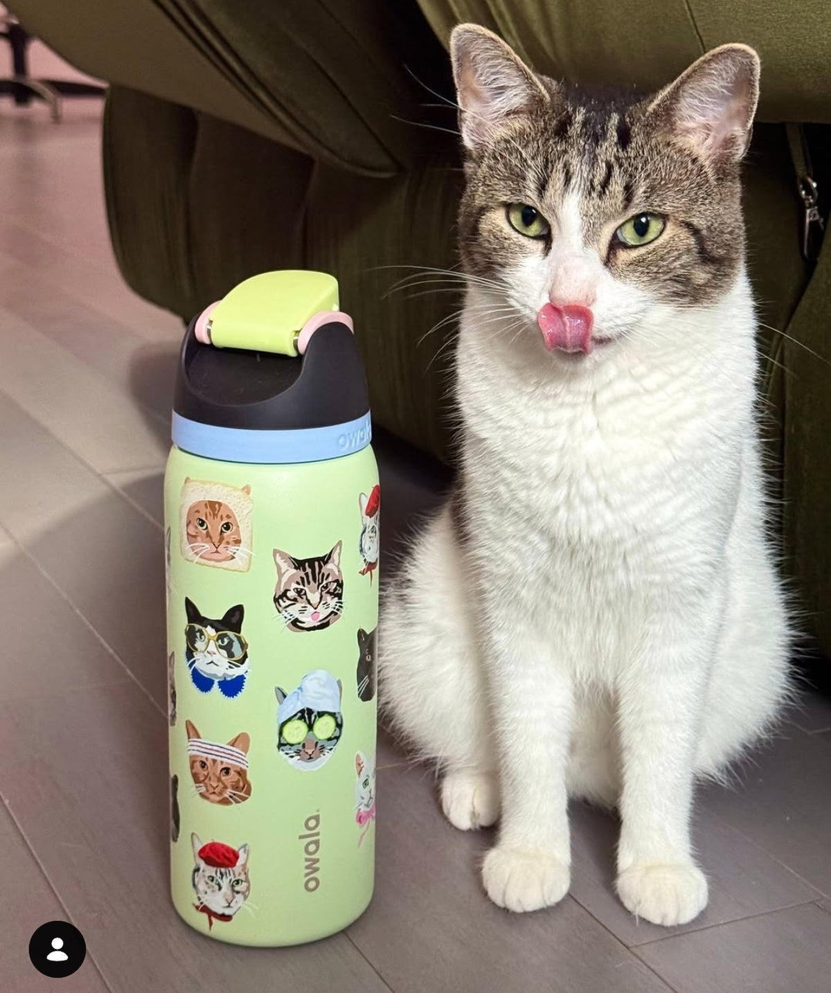 Owala 32oz FreeSip Water Bottle Cat Collage Catwala Urban Outfitters Exclusive N