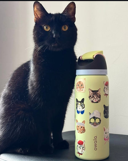 Owala 32oz FreeSip Water Bottle Cat Collage Catwala Urban Outfitters Exclusive N