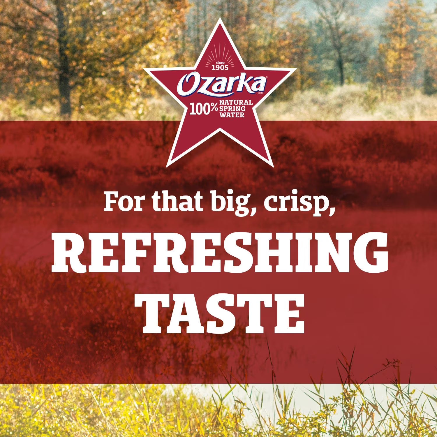 Ozarka Natural Spring Water (28 Pack, 20 fl oz Bottles) – 100% Natural Spring Water, Refreshing & Pure Hydration