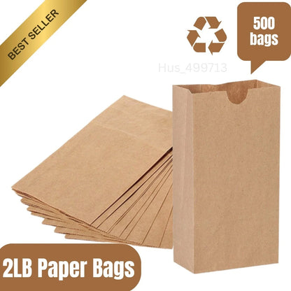 Bulk Pack of 500 Brown Kraft Paper Bags - 1lb, Medium Size