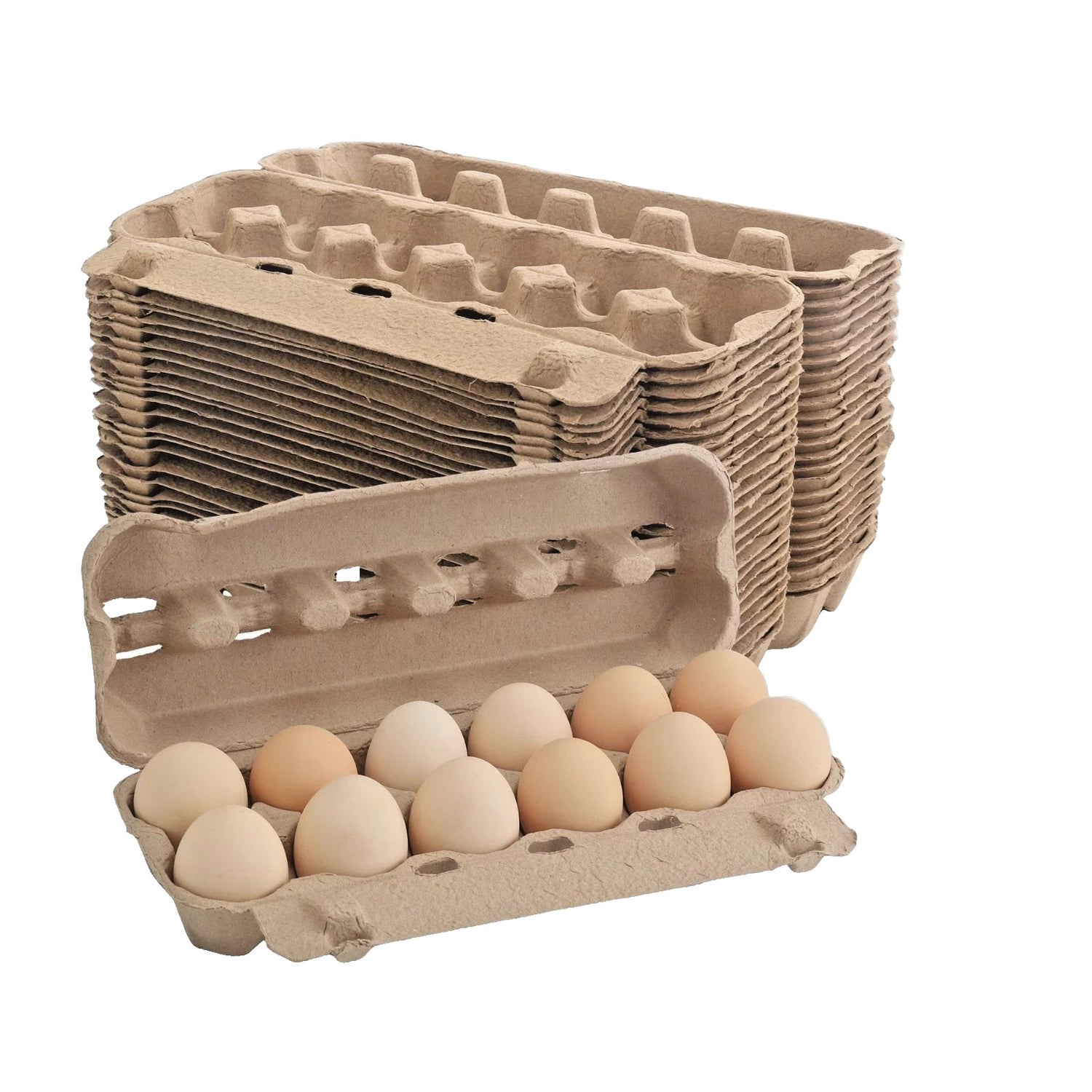 Natural Pulp Paper Egg Cartons hold 12 Eggs Eco-Friendly Egg CHOOSE QUANTITY BLW