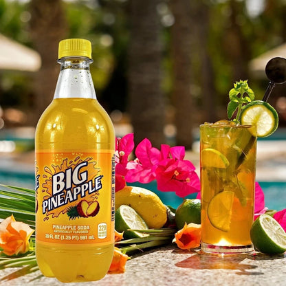 Big Pineapple Soda Exotic Pop, 20 fl oz Bottles – Pack of 24 | Tropical Pineapple Soft Drink