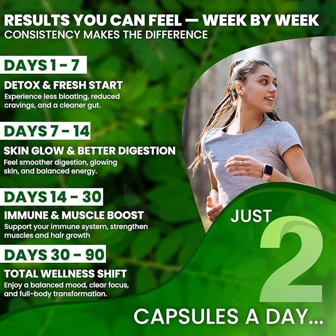 Pure Moringa Leaf Capsules by Saqqa – 500mg Dietary Supplement – 240 Capsules – Pack of 2