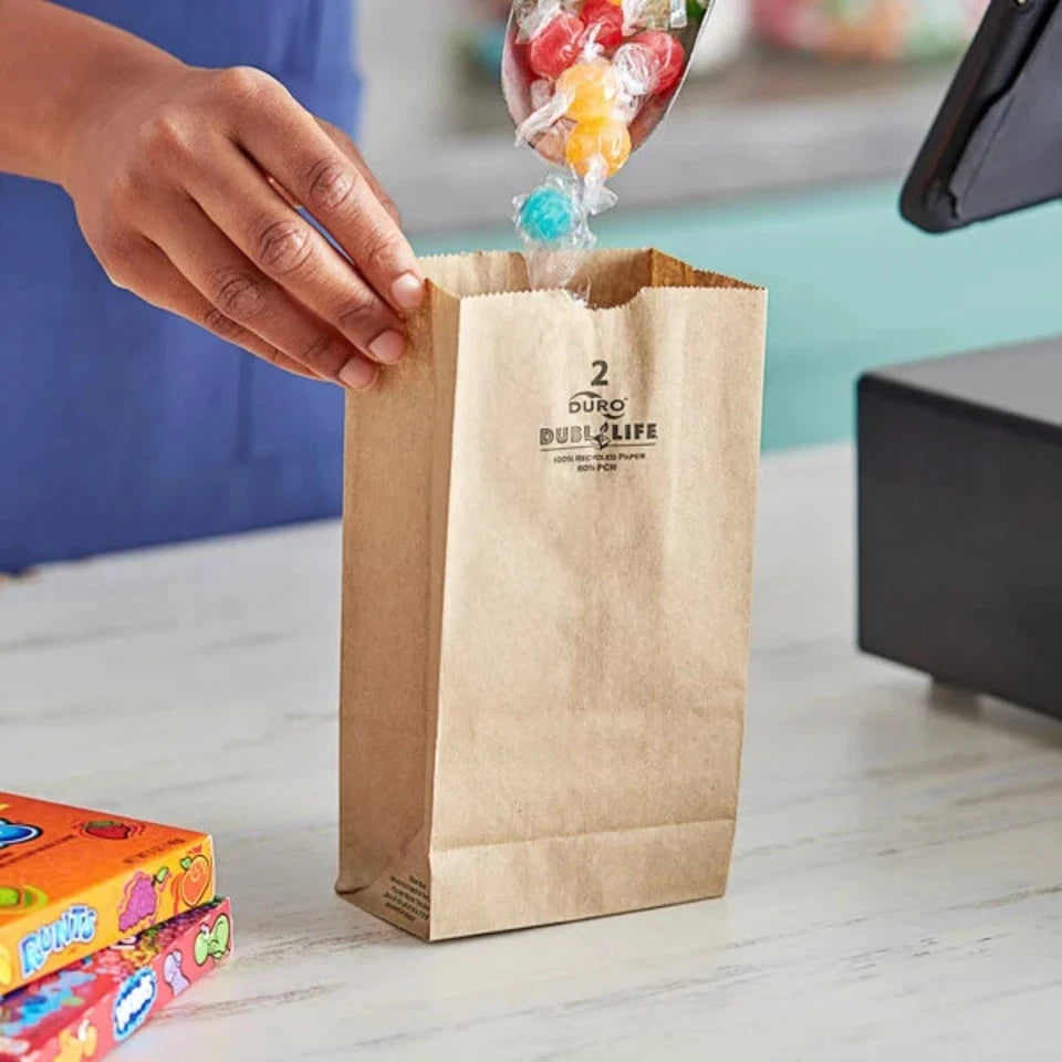 Bulk Pack of 500 Brown Kraft Paper Bags - 1lb, Medium Size