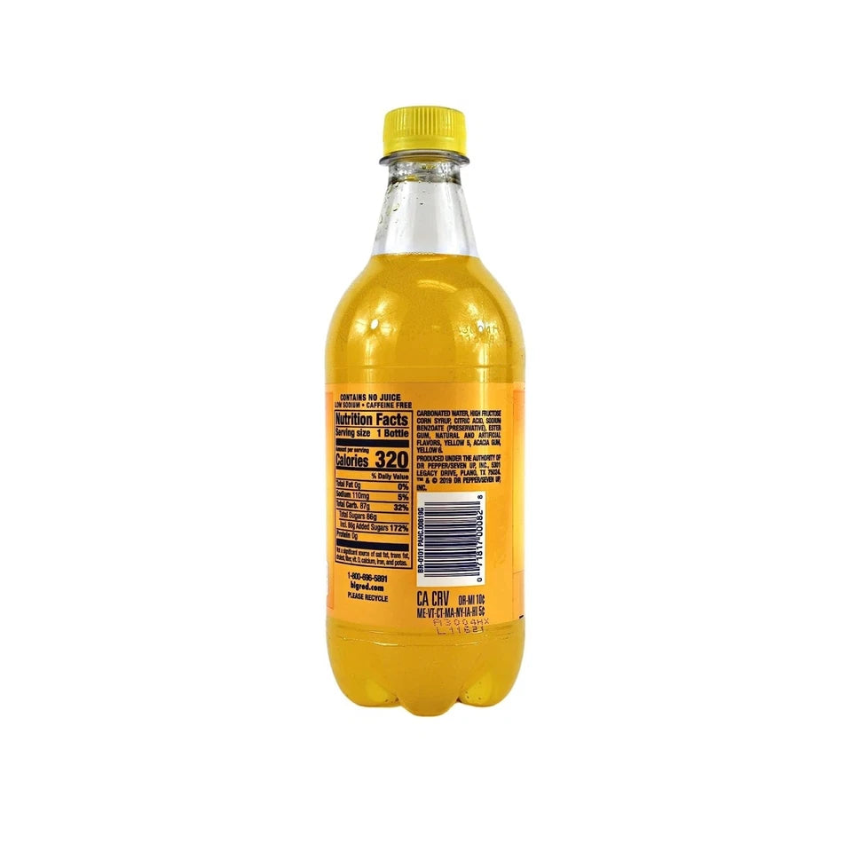 Big Pineapple Soda Exotic Pop, 20 fl oz Bottles – Pack of 24 | Tropical Pineapple Soft Drink